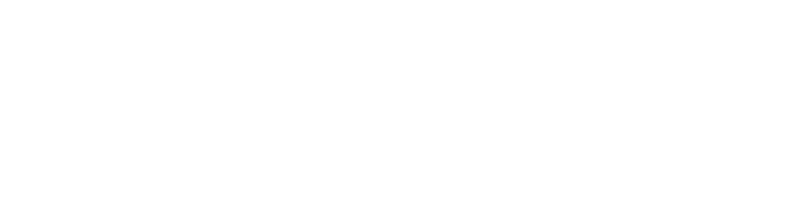 Belimport SA